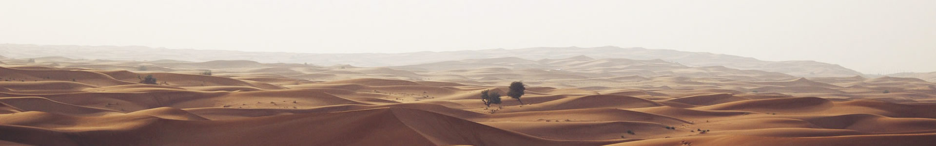 ½չѯ޹˾